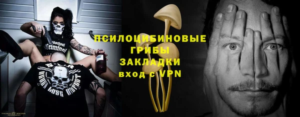 мдпв Богданович