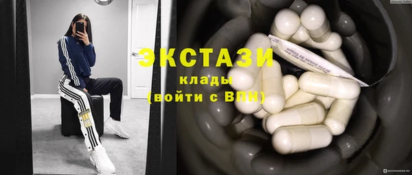spice Богородск