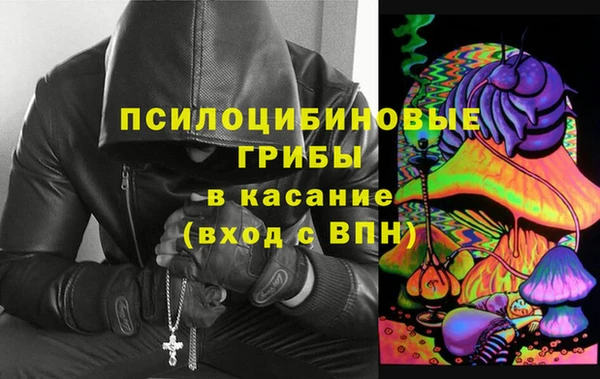 мдпв Богданович