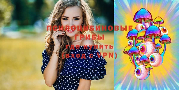 MDMA Богородицк