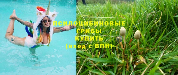 spice Богородск