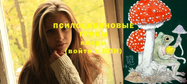 MDMA Богородицк