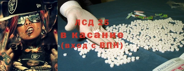 spice Богородск
