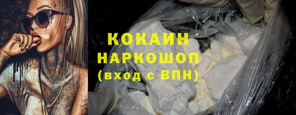 spice Богородск