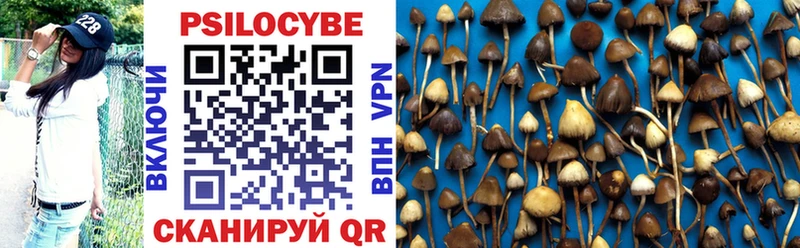 Галлюциногенные грибы Psilocybine cubensis  цена наркотик  Дмитриев 
