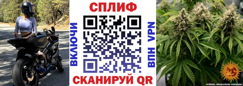 цена наркотик  Дмитриев  Шишки марихуана конопля 